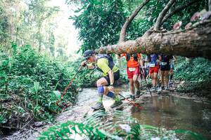 BIB: 
                            <button type="button" onclick="openModal(25459829)" class="btn btn-primary btn-sm float-right btn-popup" data-toggle="modal" data-target=".modal-high-quality">
                        <i class="fas fa-shopping-cart"></i> Add to Cart
                    </button>
                                            <button type="button" onclick="isThisMe(25459829, true)" class="btn btn-success btn-sm float-right btn-popup btn-isme hidden" data-toggle="tooltip" data-placement="bottom" title="นี่คือรูปของคุณใช่ไหม คลิกที่นี่เพื่อเอาเข้าอัลบั้ม">
                        <i class="fas fa-plus"></i> Add to album
                    </button>
                    <button type="button" onclick="isThisMe(25459829, false)" class="btn btn-warning btn-sm float-right btn-popup btn-isnotme hidden">
                        <i class="fas fa-ban"></i> Remove from album
                    </button>